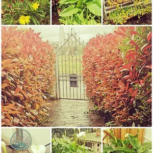 Le 7 Calle Appartement Pise
